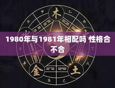 1980年与1981年相配吗 性格合不合