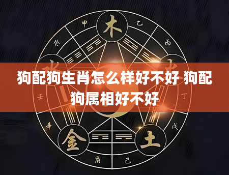 狗配狗生肖怎么样好不好 狗配狗属相好不好