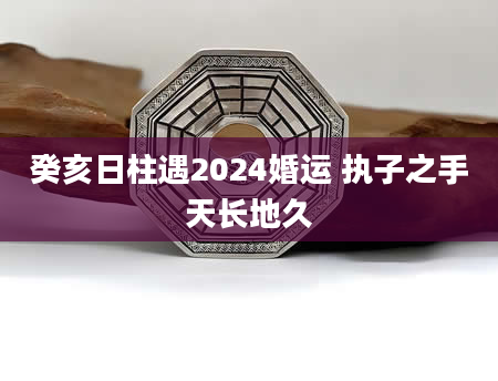癸亥日柱遇2024婚运 执子之手天长地久