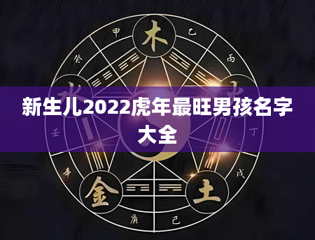 新生儿2022虎年最旺男孩名字大全