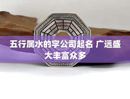 五行属水的字公司起名 广远盛大丰富众多