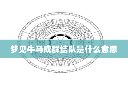 梦见牛马成群结队是什么意思