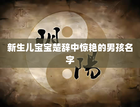 新生儿宝宝楚辞中惊艳的男孩名字