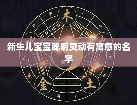 新生儿宝宝聪明灵动有寓意的名字