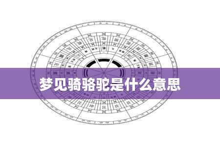 梦见骑骆驼是什么意思