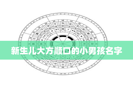 新生儿大方顺口的小男孩名字