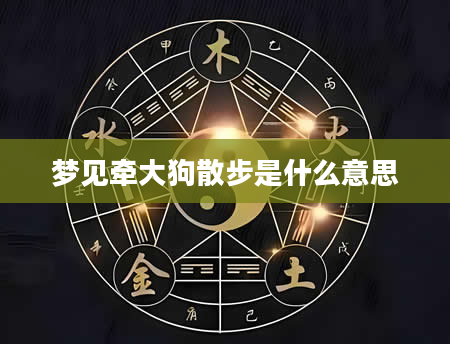 梦见牵大狗散步是什么意思