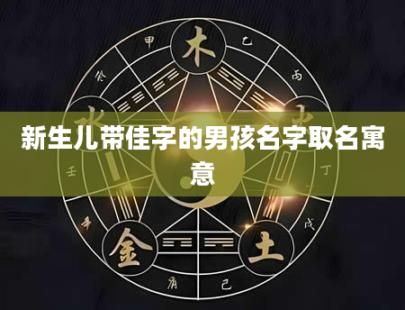 新生儿带佳字的男孩名字取名寓意