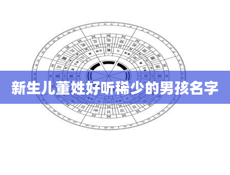 新生儿董姓好听稀少的男孩名字