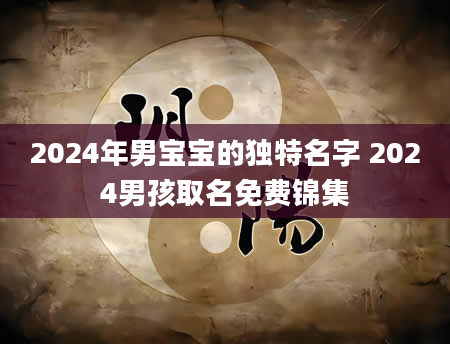 2024年男宝宝的独特名字 2024男孩取名免费锦集