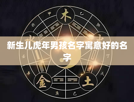新生儿虎年男孩名字寓意好的名字