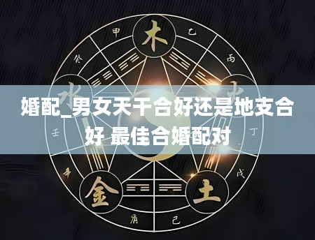 婚配_男女天干合好还是地支合好 最佳合婚配对