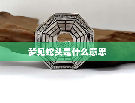 梦见蛇头是什么意思