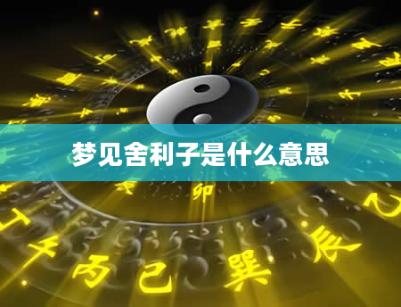 梦见舍利子是什么意思