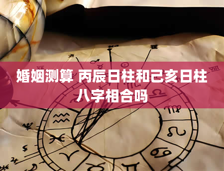 婚姻测算 丙辰日柱和己亥日柱八字相合吗