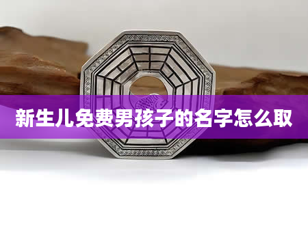 新生儿免费男孩子的名字怎么取