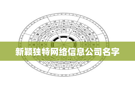 新颖独特网络信息公司名字