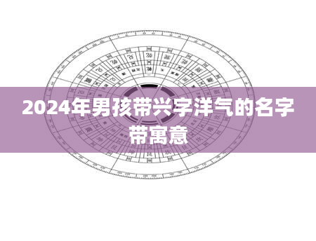 2024年男孩带兴字洋气的名字带寓意