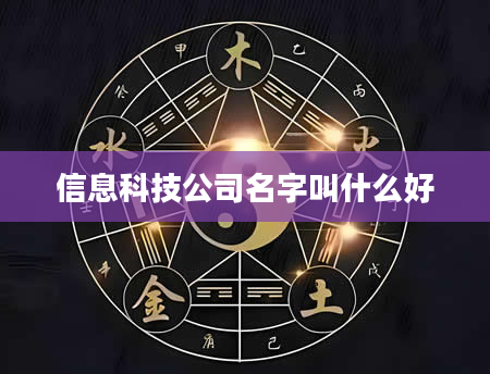 信息科技公司名字叫什么好