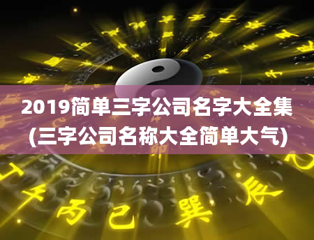 2019简单三字公司名字大全集(三字公司名称大全简单大气)