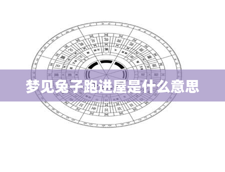 梦见兔子跑进屋是什么意思