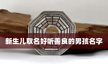 新生儿取名好听善良的男孩名字