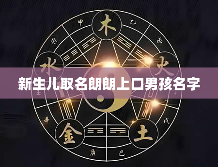 新生儿取名朗朗上口男孩名字