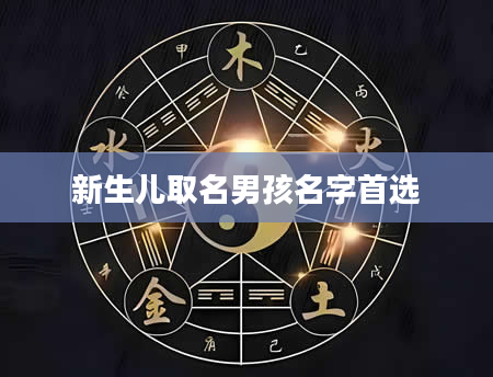 新生儿取名男孩名字首选
