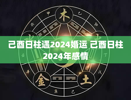 己酉日柱遇2024婚运 己酉日柱2024年感情