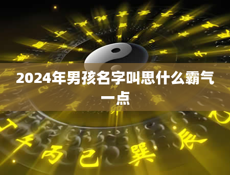 2024年男孩名字叫思什么霸气一点