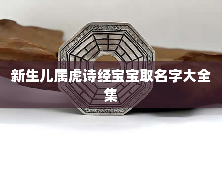 新生儿属虎诗经宝宝取名字大全集
