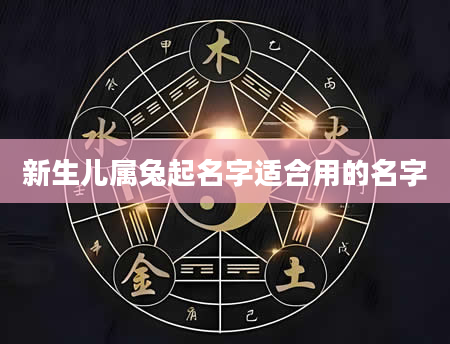 新生儿属兔起名字适合用的名字