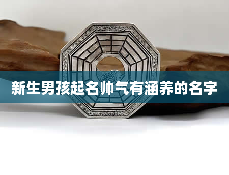 新生男孩起名帅气有涵养的名字