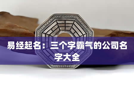 易经起名：三个字霸气的公司名字大全