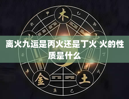 离火九运是丙火还是丁火 火的性质是什么
