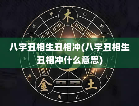 八字丑相生丑相冲(八字丑相生丑相冲什么意思)