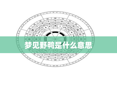 梦见野鸭是什么意思