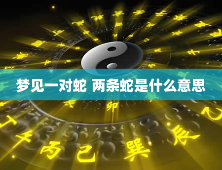 梦见一对蛇 两条蛇是什么意思