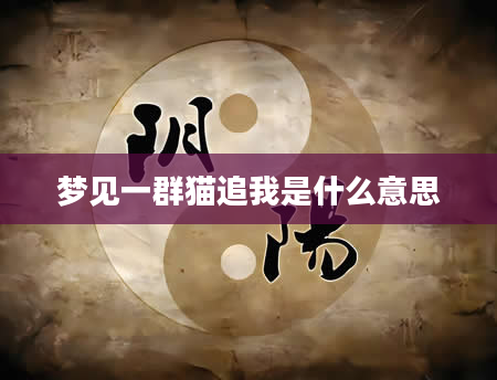 梦见一群猫追我是什么意思