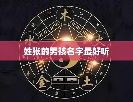 姓张的男孩名字最好听
