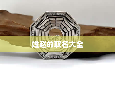 姓赵的取名大全