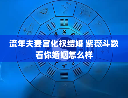 流年夫妻宫化权结婚 紫薇斗数看你婚姻怎么样