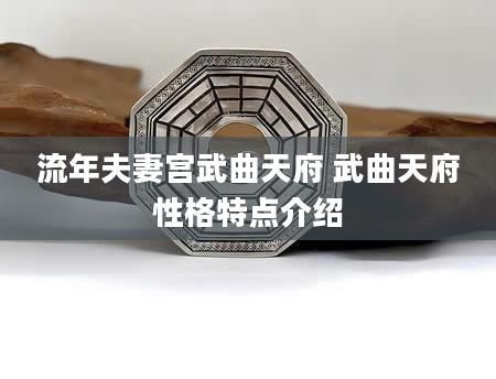 流年夫妻宫武曲天府 武曲天府性格特点介绍