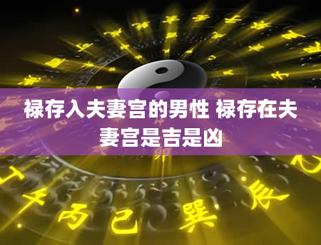 禄存入夫妻宫的男性 禄存在夫妻宫是吉是凶