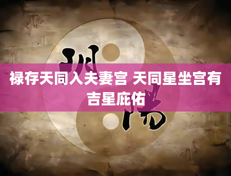 禄存天同入夫妻宫 天同星坐宫有吉星庇佑