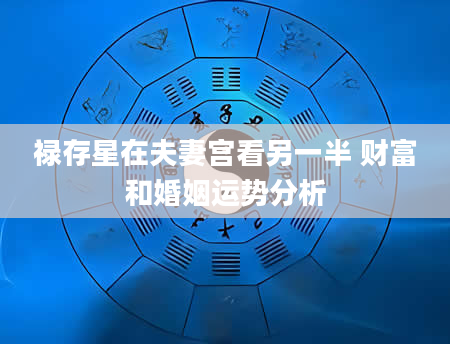 禄存星在夫妻宫看另一半 财富和婚姻运势分析