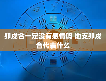 卯戌合一定没有感情吗 地支卯戌合代表什么