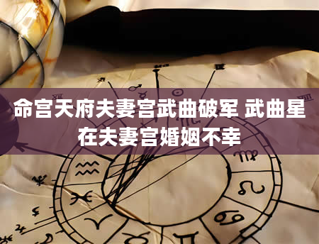 命宫天府夫妻宫武曲破军 武曲星在夫妻宫婚姻不幸