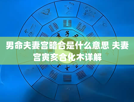 男命夫妻宫暗合是什么意思 夫妻宫寅亥合化木详解