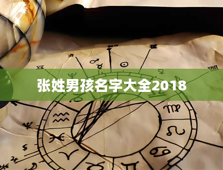 张姓男孩名字大全2018